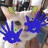 koyukyko🐾 profil fotoğrafı