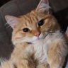 MeKVi profil fotoğrafı
