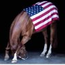 Marg1's profile picture
