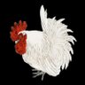 Фото профиля RoosterCase