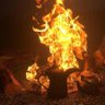 عبد الله الهذلي profil fotoğrafı