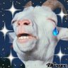 Da Goat 的头像