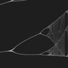 ▼'s profile picture