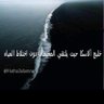 Profilbild von شبابي أصيل