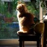 Esma Kalkan's profile picture