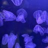 Фото профиля きるひぇ