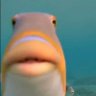 Profilbild von robxbob