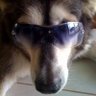 Profilbild von mArK0ff ChAn3y