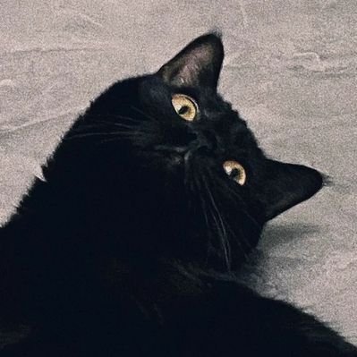 Fish_robber's profile picture