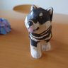 🐶真紀🐶 profil fotoğrafı