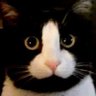 Profilbild von Coach