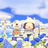 Profilbild von よっこ