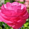 Roamy profil fotoğrafı
