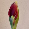 Фото профиля Steffen Lorenz