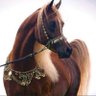 Фото профиля Alwafy