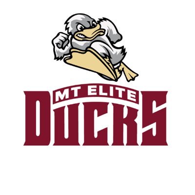 MT Elite Ducks's profile picture