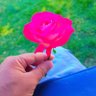 داسلامي امت لاروي profil fotoğrafı