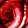 LumensLord's profile picture