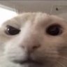 Ahmad Firas's profile picture