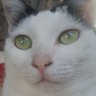hfdg6uyf8fsv's profile picture