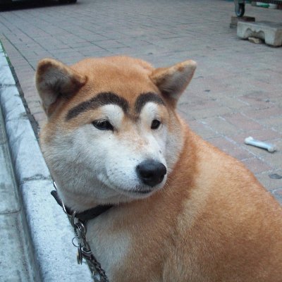 onitsuchi's profile picture