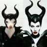 Lili's profile picture