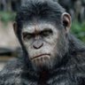 Фото профиля Sanky Monky