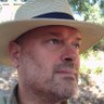 Gunther Strube's profile picture