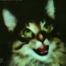 Profilbild von ~(_8^(I)