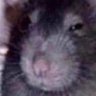 Profilbild von Lustmoerder
