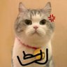 hafu profil fotoğrafı