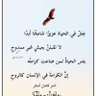محمد's profile picture