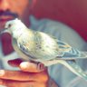 Jadaan14 profil fotoğrafı