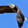 John 🇺🇸's profile picture