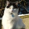 Cat Chou 的头像