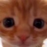 Profilbild von Jabv