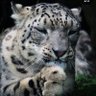 Paweł profil fotoğrafı
