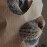 Bigbär's profile picture