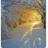 Winterbug profil fotoğrafı