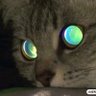 冰河 profil fotoğrafı