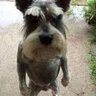 ASNAPPINTURLA_1 profil fotoğrafı