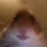Profilbild von Jaden Tetzlaff
