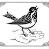 الطائر المهاجر✍️ 的头像
