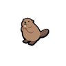 Beaver's profile picture