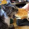 Profilbild von randomdood8