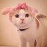 Profilbild von 理性吃瓜群众