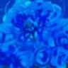 Profilbild von れいあ