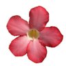 A.B's profile picture