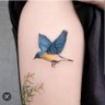 Blue bird's profile picture