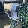 りーりり profil fotoğrafı